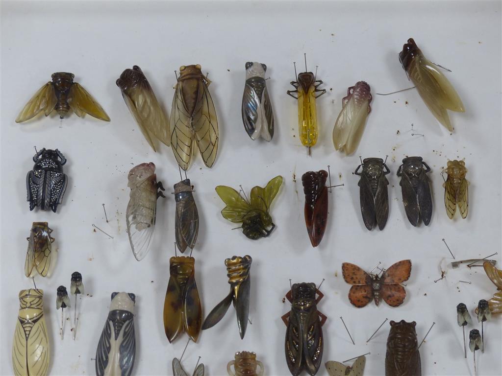 A collection of late 1920s and later cicada, bakelite and bug brooches